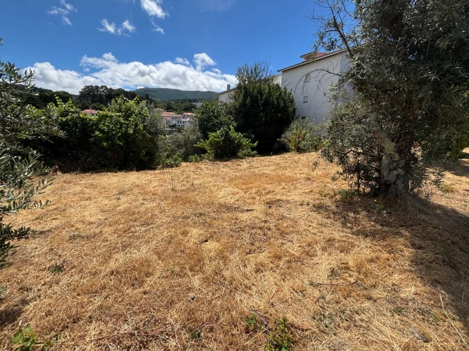 Terreno para Venda em Gouveia (São Pedro e São Julião) Foto 8