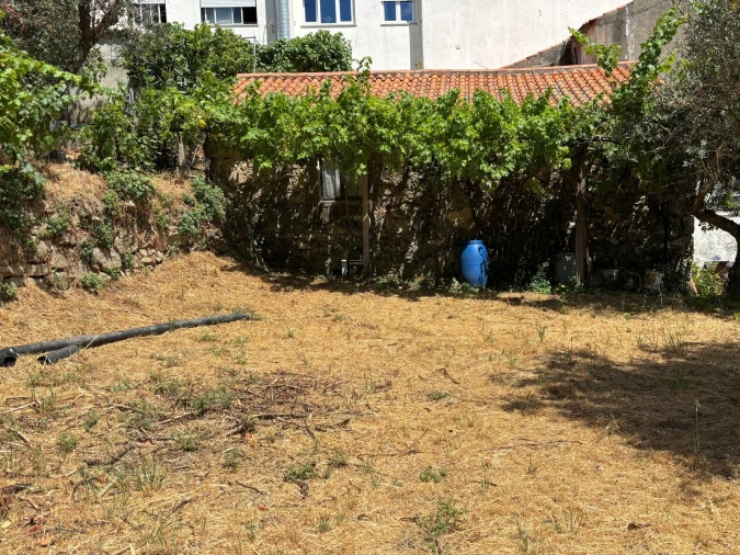 Terreno para Venda em Gouveia (São Pedro e São Julião) Foto 6