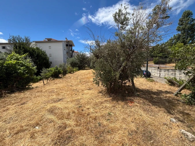 Terreno para Venda em Gouveia (São Pedro e São Julião) Foto 4