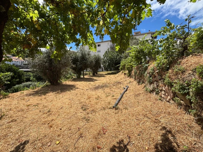 Terreno para Venda em Gouveia (São Pedro e São Julião) Foto 7