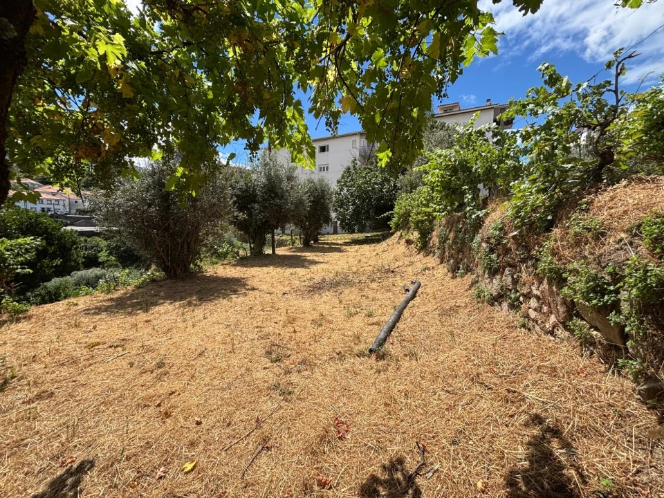 Terreno para Venda em Gouveia (São Pedro e São Julião) Foto 7