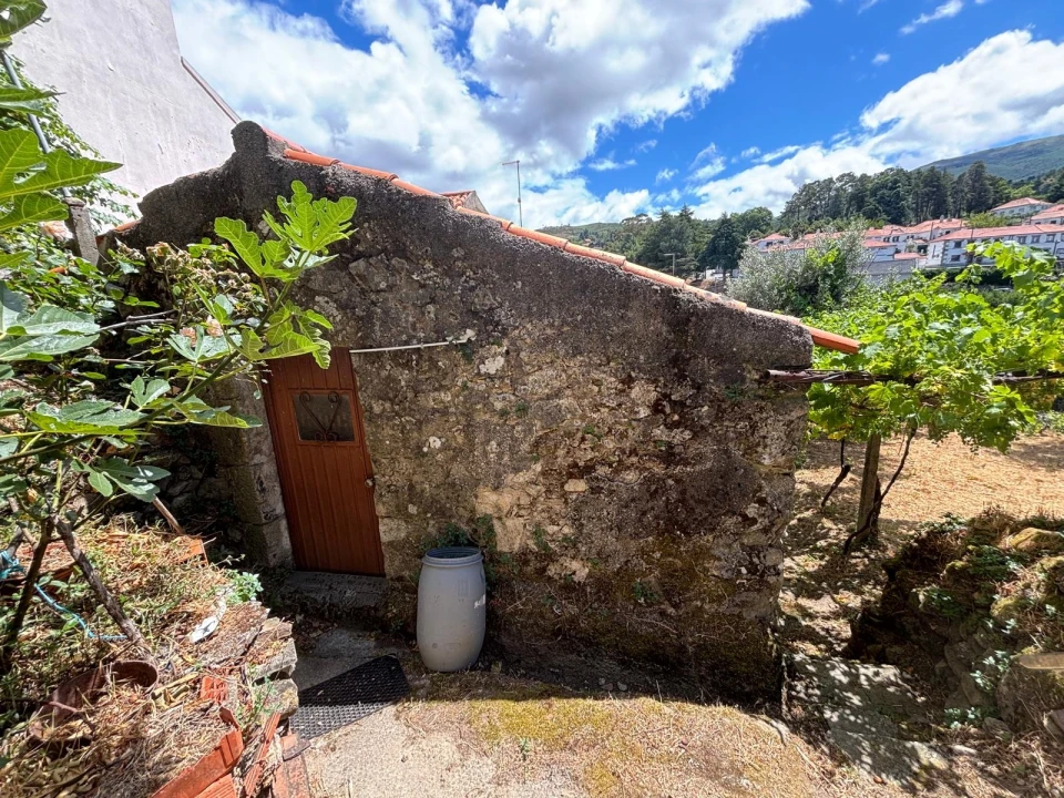 Terreno para Venda em Gouveia (São Pedro e São Julião) Foto 5