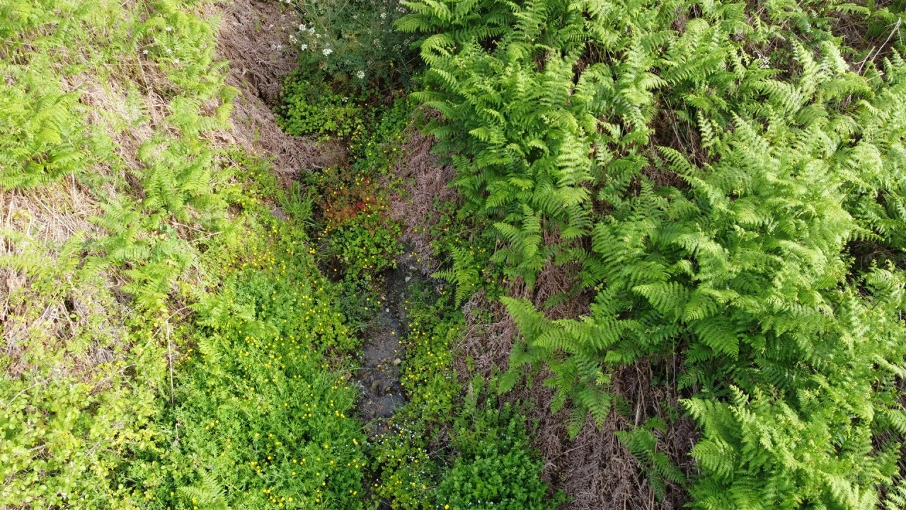 Quinta T0 para Venda em Figueiró da Serra e Freixo da Serra Foto 7