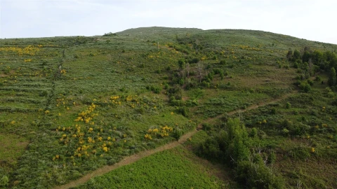 Quinta T0 para Venda em Figueiró da Serra e Freixo da Serra