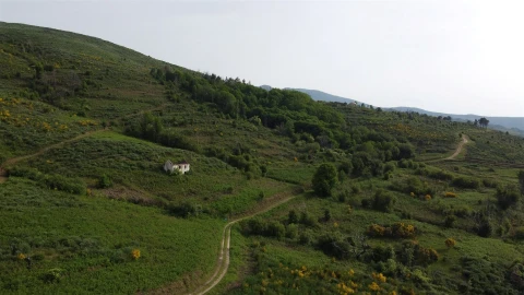 Quinta T0 para Venda em Figueiró da Serra e Freixo da Serra