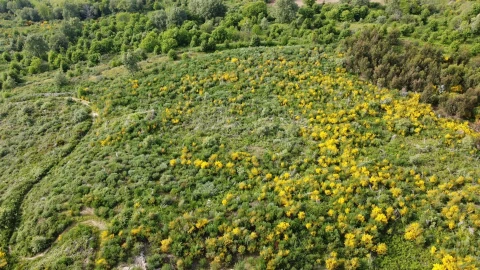 Quinta T0 para Venda em Figueiró da Serra e Freixo da Serra