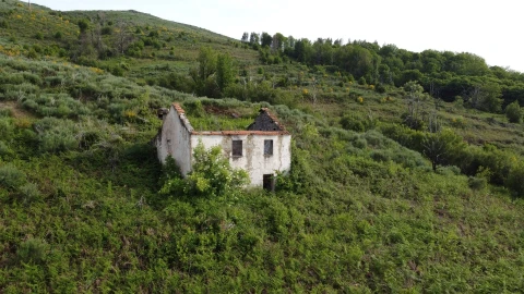 Quinta T0 para Venda em Figueiró da Serra e Freixo da Serra