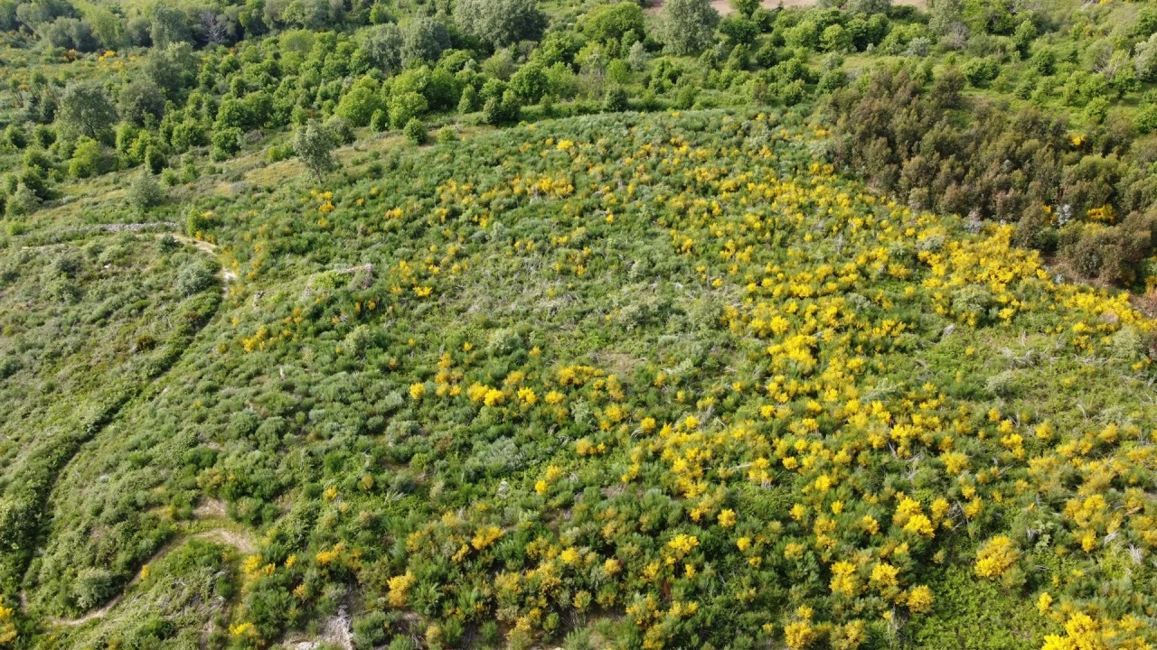 Quinta T0 para Venda em Figueiró da Serra e Freixo da Serra Foto 8