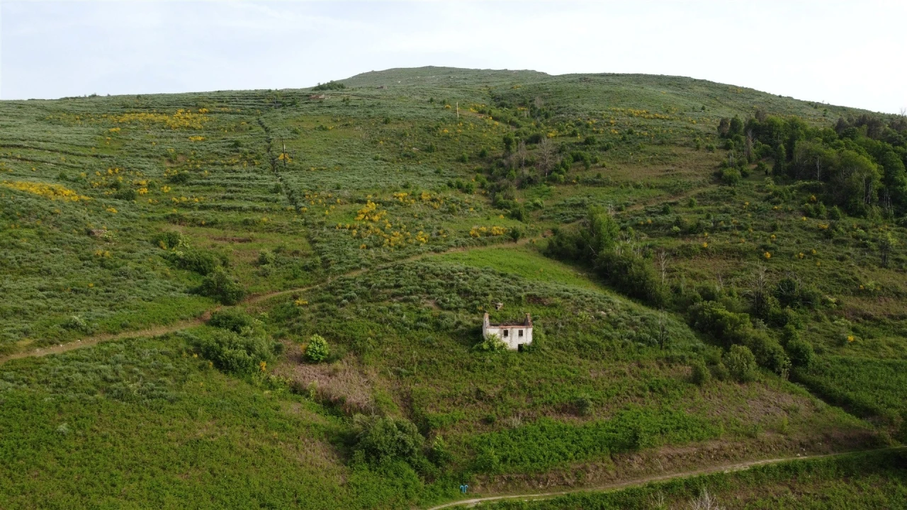 Quinta T0 para Venda em Figueiró da Serra e Freixo da Serra Foto 3