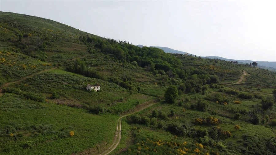 Quinta T0 para Venda em Figueiró da Serra e Freixo da Serra Foto 9