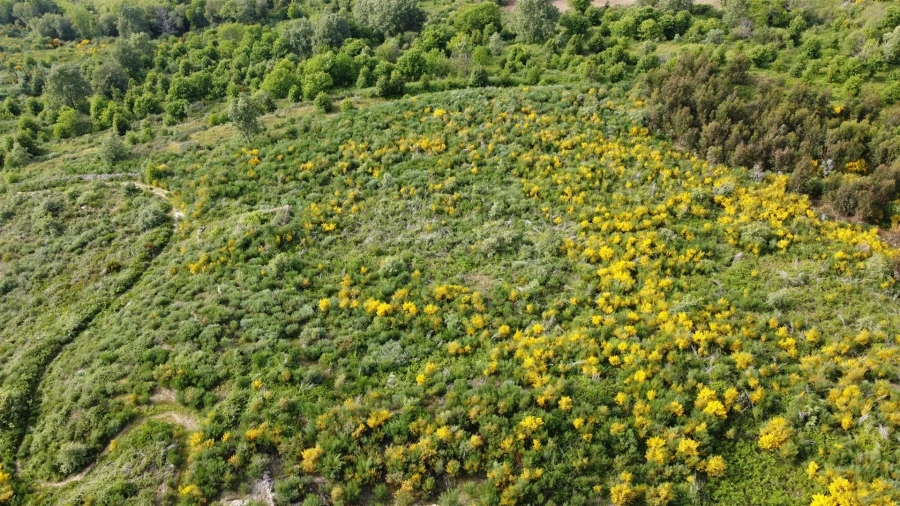Quinta T0 para Venda em Figueiró da Serra e Freixo da Serra Foto 8