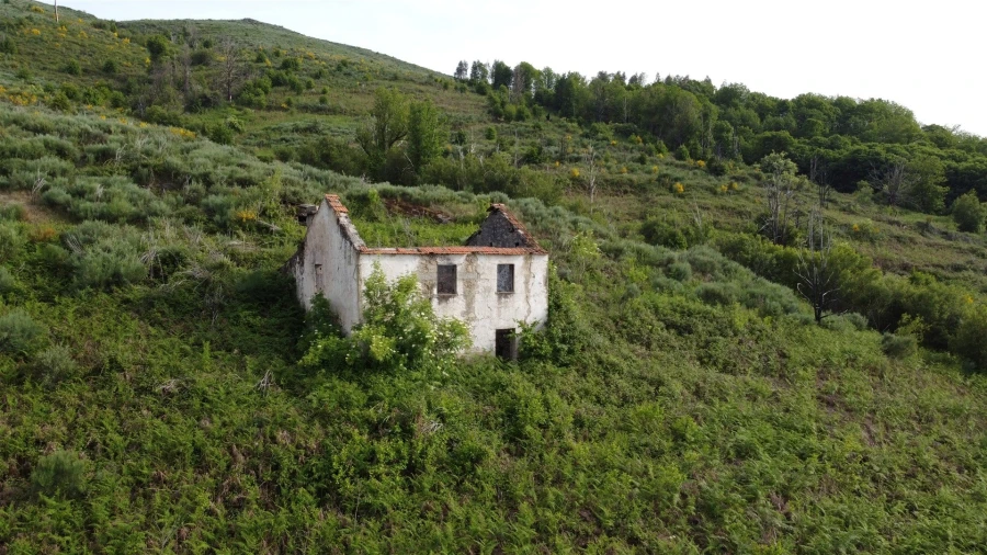 Quinta T0 para Venda em Figueiró da Serra e Freixo da Serra Foto 2