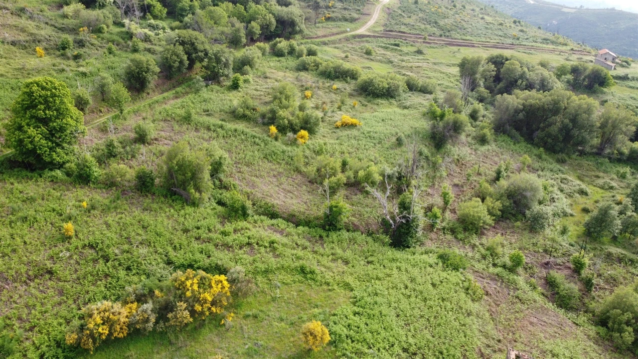 Quinta T0 para Venda em Figueiró da Serra e Freixo da Serra Foto 4