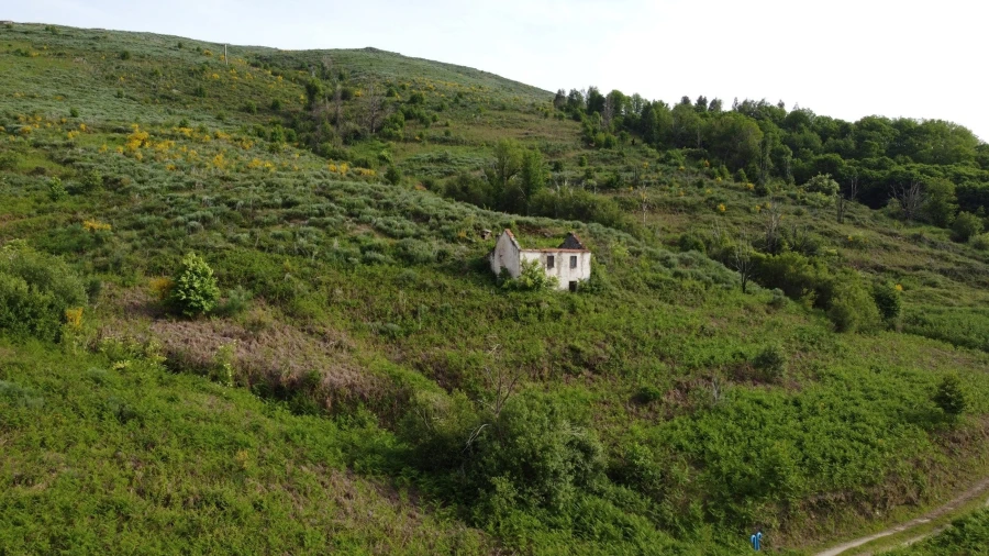 Quinta T0 para Venda em Figueiró da Serra e Freixo da Serra
