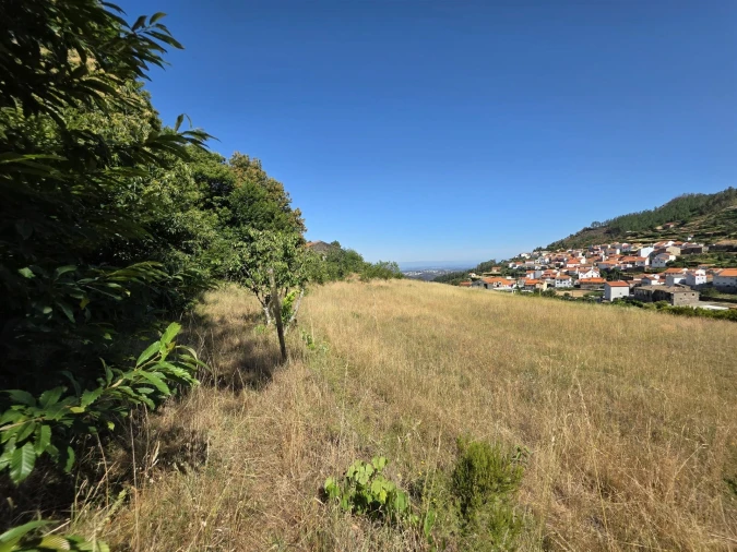 Quinta T0 para Venda em Valezim Foto 12