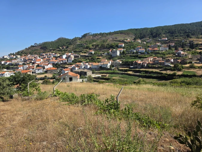 Quinta T0 para Venda em Valezim Foto 11