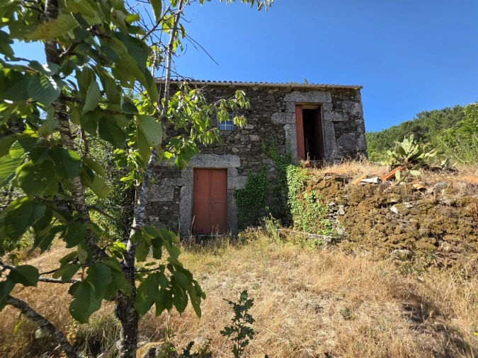 Quinta T0 para Venda em Valezim Foto 5