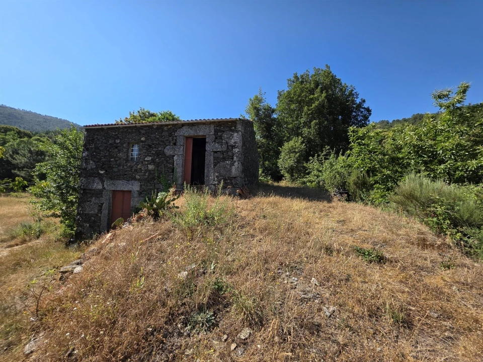 Quinta T0 para Venda em Valezim Foto 3
