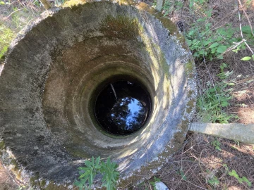 Quinta T0 para Venda em Sameice e Santa Eulália