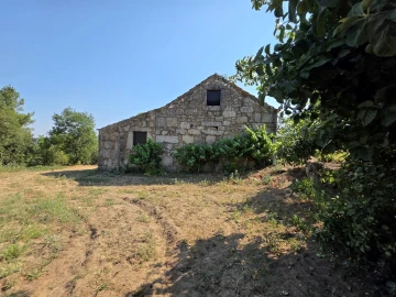 Quinta T0 para Venda em Sameice e Santa Eulália