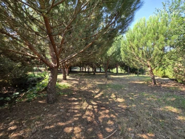 Quinta T0 para Venda em Sameice e Santa Eulália