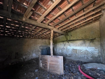 Quinta T0 para Venda em Sameice e Santa Eulália
