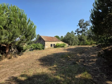 Quinta T0 para Venda em Sameice e Santa Eulália