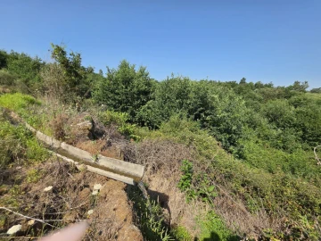 Quinta T0 para Venda em Sameice e Santa Eulália