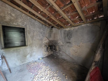 Quinta T0 para Venda em Sameice e Santa Eulália