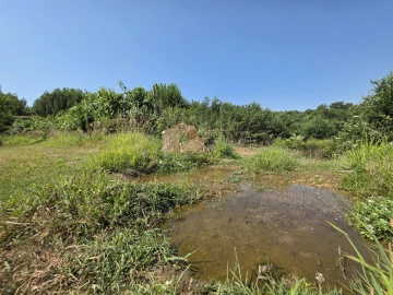 Quinta T0 para Venda em Sameice e Santa Eulália
