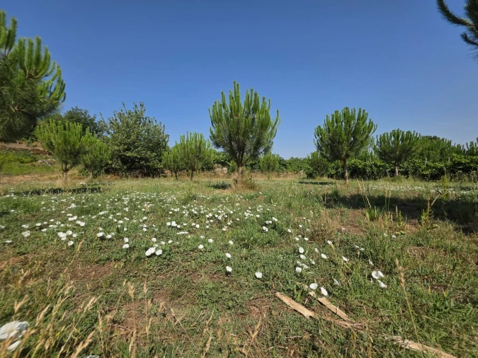 Quinta T0 para Venda em Sameice e Santa Eulália Foto 22