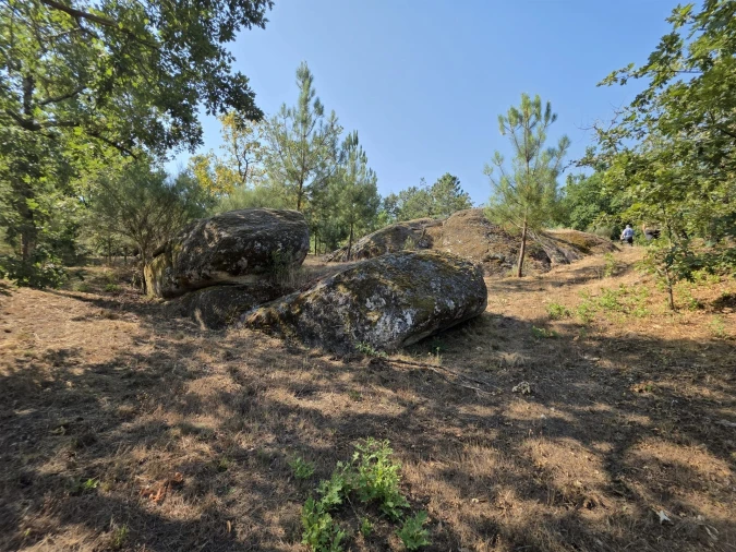 Quinta T0 para Venda em Sameice e Santa Eulália Foto 18