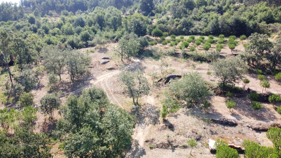 Quinta T0 para Venda em Sameice e Santa Eulália Foto 3