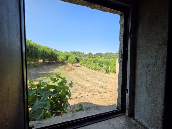 Quinta T0 para Venda em Sameice e Santa Eulália Foto 10