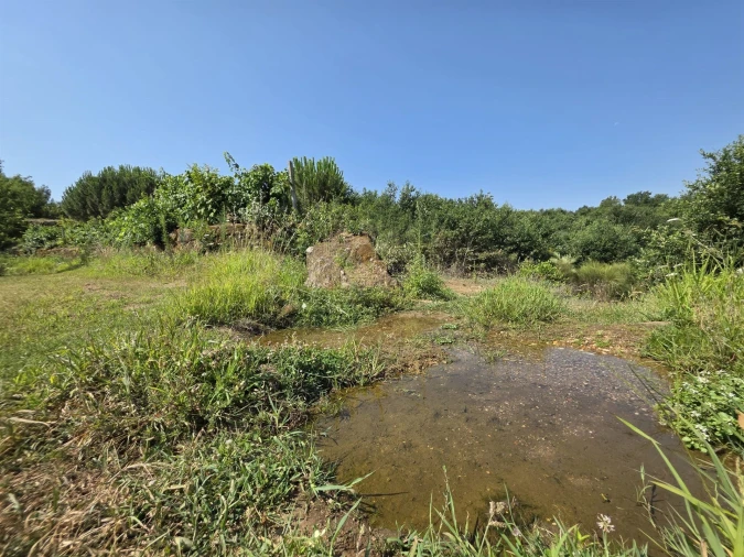 Quinta T0 para Venda em Sameice e Santa Eulália Foto 21
