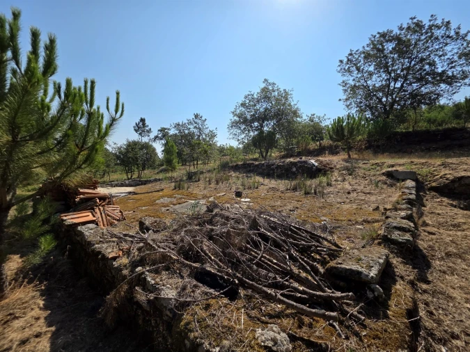 Quinta T0 para Venda em Sameice e Santa Eulália Foto 20