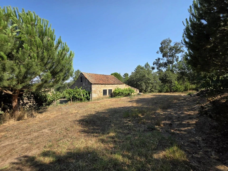 Quinta T0 para Venda em Sameice e Santa Eulália Foto 1
