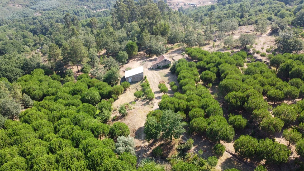 Quinta T0 para Venda em Sameice e Santa Eulália Foto 6