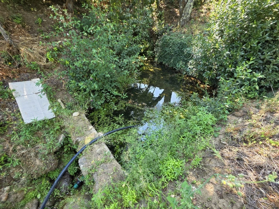 Quinta T0 para Venda em Sameice e Santa Eulália Foto 27