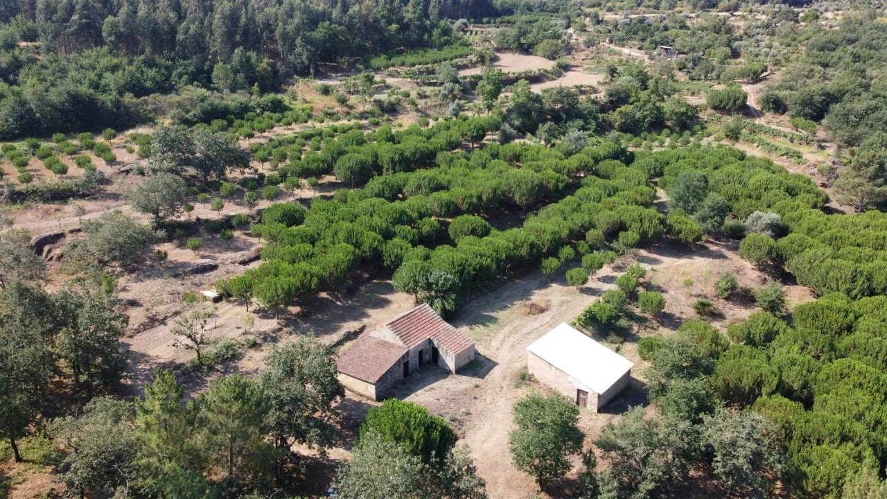 Quinta T0 para Venda em Sameice e Santa Eulália Foto 2