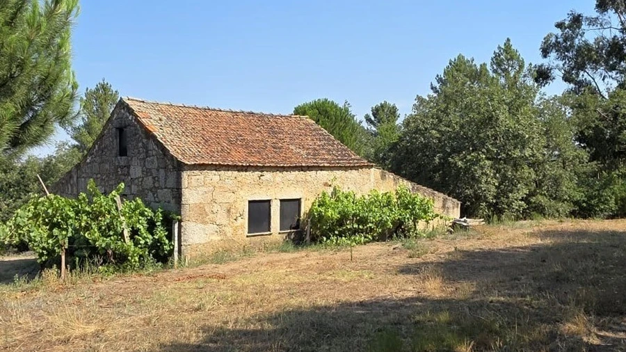 Quinta T0 para Venda em Sameice e Santa Eulália