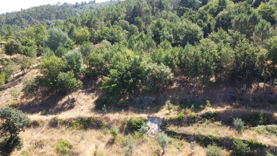 Quinta T0 para Venda em Seia, São Romão e Lapa dos Dinheiros Foto 3