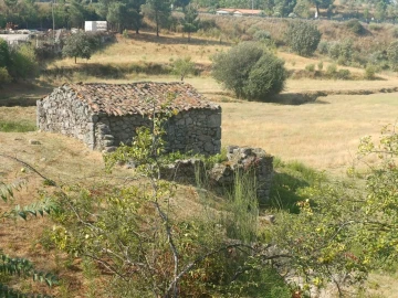 Quinta T0 para Venda em São Pedro e Santa Maria e Vila Boa do Mondego