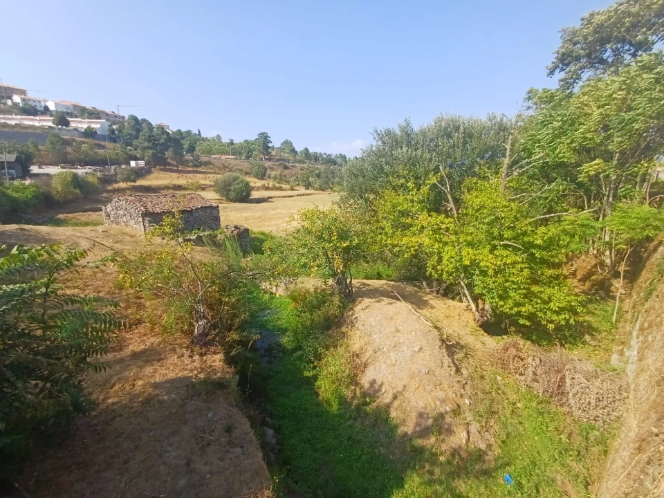 Quinta T0 para Venda em São Pedro e Santa Maria e Vila Boa do Mondego Foto 2