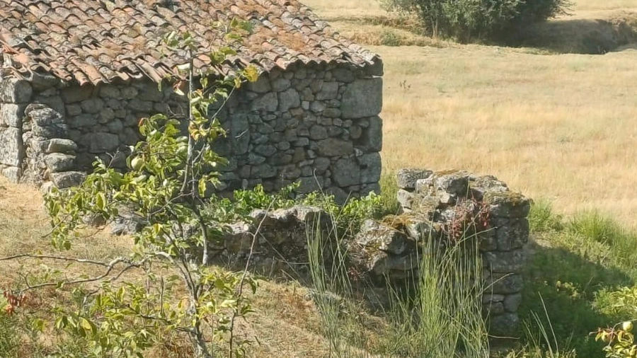Quinta T0 para Venda em São Pedro e Santa Maria e Vila Boa do Mondego