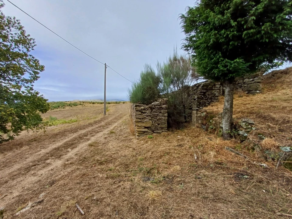 Quinta T2 para Venda em Videmonte Foto 17