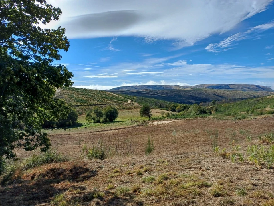 Quinta T2 para Venda em Videmonte Foto 20
