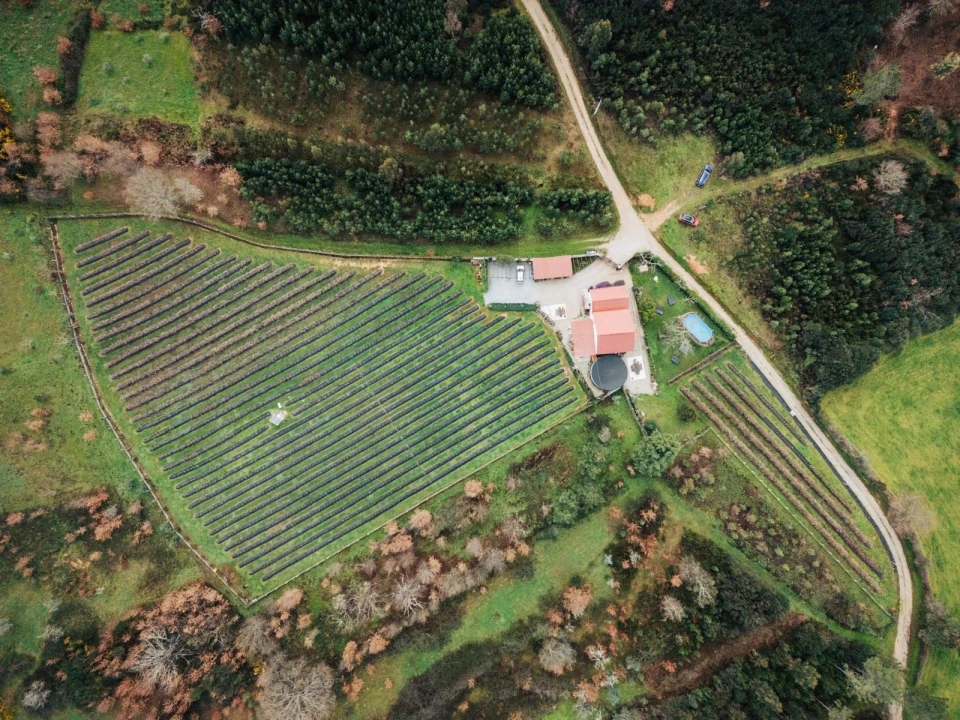Quinta T4 para Venda em Carragozela e Várzea de Meruge Foto 32
