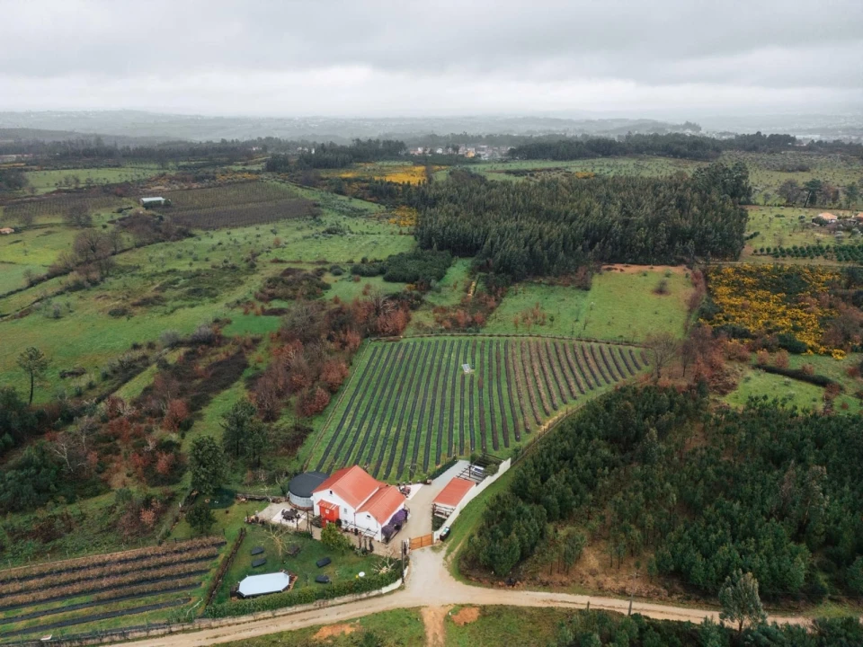 Quinta T4 para Venda em Carragozela e Várzea de Meruge Foto 2