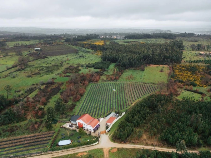 Quinta T4 para Venda em Carragozela e Várzea de Meruge Foto 2